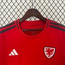 Camisola Seleção País de Gales 2024/25 Principal