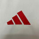 Camisola SC Internacional 2024/25 Alternativo