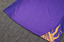 Conjunto de Treino Real Madrid CF 2024-25