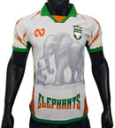 Camisola Jogador Costa do Marfim 25/26 - Edição Especial